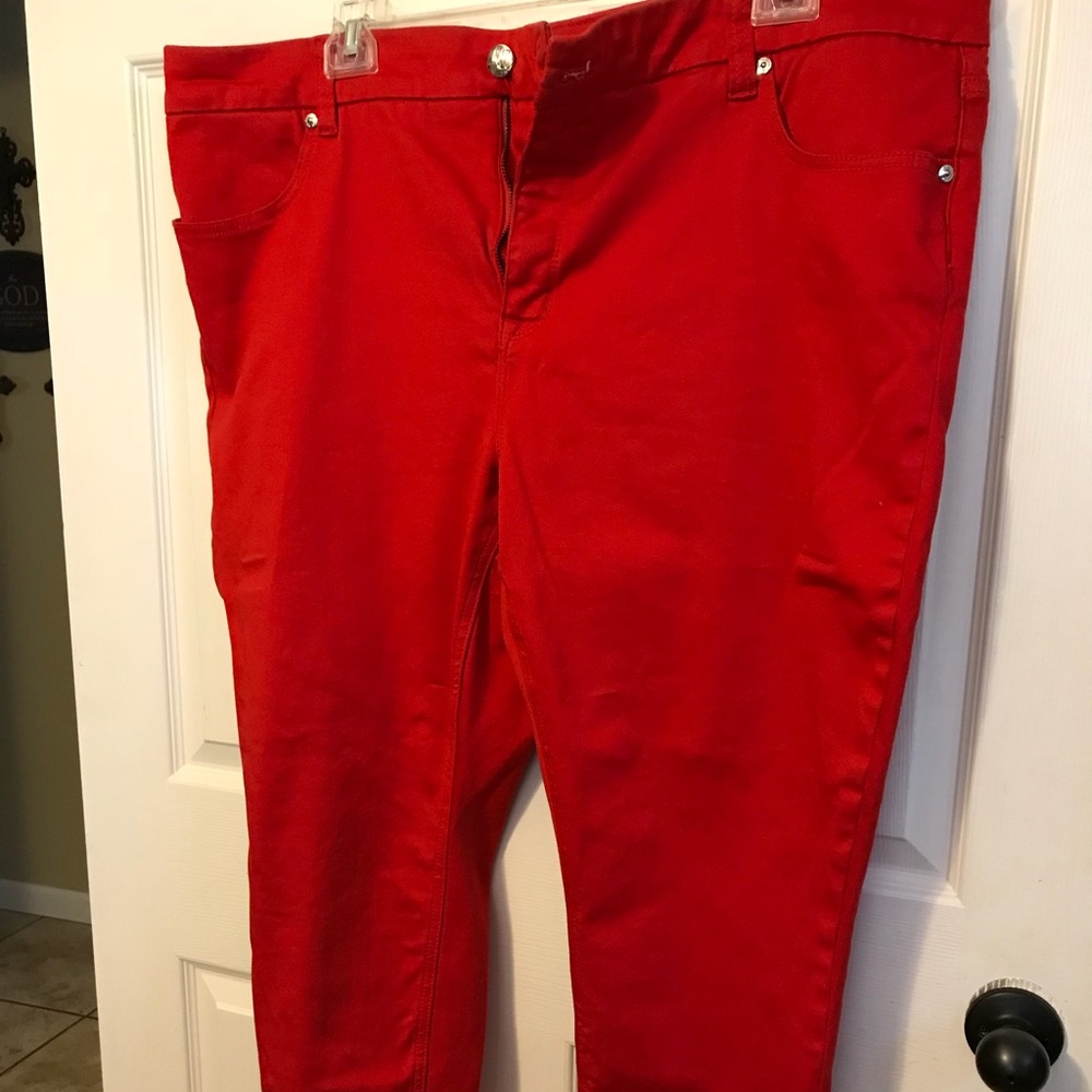 Melissa McCarthy Seven Pencil Jeans